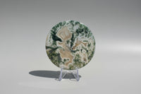 Moss Agate Polished Round Slice #32