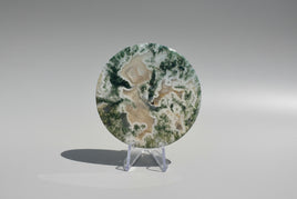 Moss Agate Polished Round Slice #32
