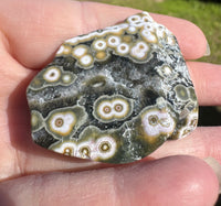 8th Vein Ocean Jasper Polished Free Form #6
