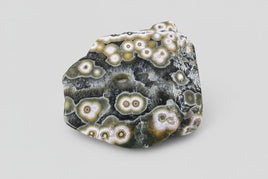 8th Vein Ocean Jasper Polished Free Form #6