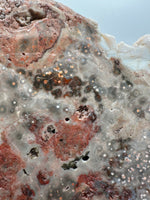 8th Vein Ocean Jasper Slab #12