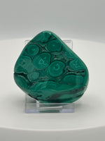 Polished Malachite Freeform Zaire, Africa #8