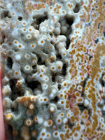 8th Vein Ocean Jasper Slab #24