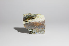 Ocean Jasper Free-form #16
