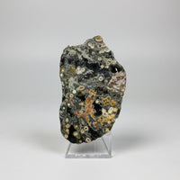 8th Vein Ocean Jasper Slab #92