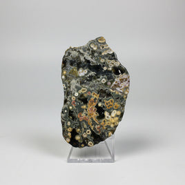 8th Vein Ocean Jasper Slab #92
