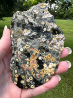 8th Vein Ocean Jasper Slab #92
