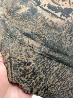 Nevada Picture Jasper Slab #2 - Old Stock