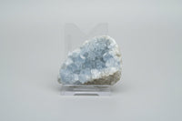 Celestite Cluster Specimen #3