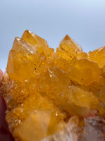Sunshine Spirit Cactus, Golden Healer Quartz Cluster, South Africa #2