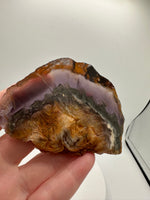 Fluorite Mixed Cube Pyrite & Acicular Slab #2