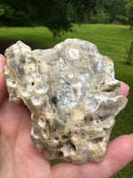 8th Vein Ocean Jasper Slab #26