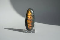 Labradorite Palmstone #27