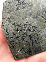 Free Form Pyrite Flowers Symbiosis Mixed Agate Slab #3