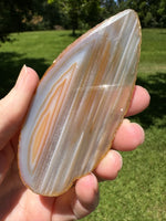 Agate Slice #19