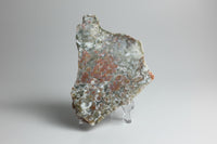 8th Vein Ocean Jasper Slab #107