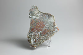 8th Vein Ocean Jasper Slab #107