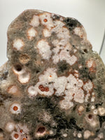 8th Vein Ocean Jasper Slab #21