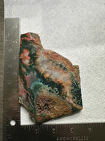 8th Vein Ocean Jasper Slab #134
