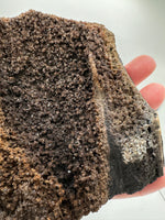 Permineralized Wood Specimen with Quartz Druzy