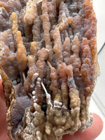 Withlacoochee River Agatized Coral #14