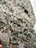8th Vein Ocean Jasper Slab #16