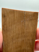 Woolly Mammoth Ivory, Pleistocene, Siberia, Russia