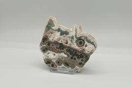 One of a Kind Bunny Shaped 8th Vein Ocean Jasper Slab #2