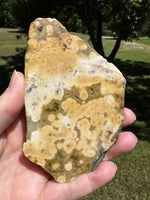 8th Vein Ocean Jasper Slab #132