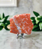 8th Vein Ocean Jasper Slab #118