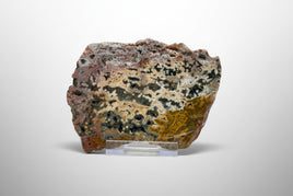 8th Vein Ocean Jasper Slab #36