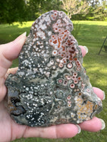 8th Vein Ocean Jasper Slab #21
