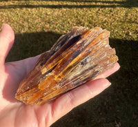 Natural Amber Calcite Raw Specimen UV Reactive #5
