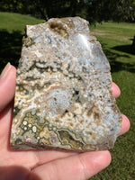 8th Vein Ocean Jasper Slab #131