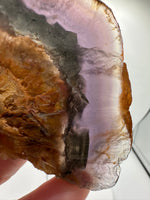 Fluorite Mixed Cube Pyrite & Acicular Slab #2