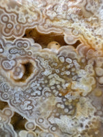 8th Vein Ocean Jasper Slab #88
