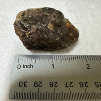 Raw Amber Specimen #16
