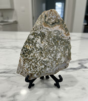 8th Vein Ocean Jasper Slab #8