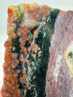 8th Vein Ocean Jasper Slab #54