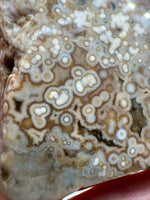 8th Vein Ocean Jasper Slab #47