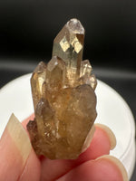 Natural Kundalini Citrine Lightbrary Crystal #13