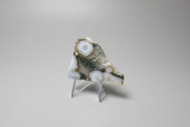 6th Vein Ocean Jasper Polished Freeform #38