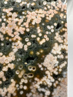 8th Vein Ocean Jasper Slab #22