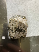 Ocean Jasper Free-form #19
