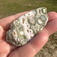 8th Vein Ocean Jasper Polished Free Form #11