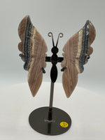 Fluorite Butterfly Wings & Stand #3
