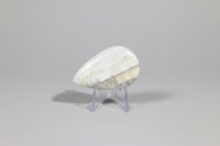 Owyhee Blue Opal Cabochon #8