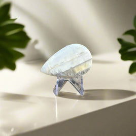 Owyhee Blue Opal Cabochon #8