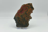 8th Vein Ocean Jasper Slab #1