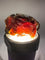 Madagascar Raw Amber Specimen #5
